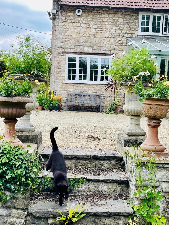 The Long House Daire Flax Bourton Dış mekan fotoğraf